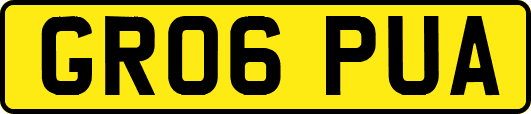 GR06PUA