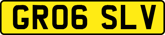 GR06SLV