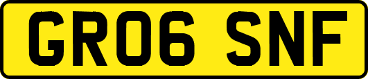 GR06SNF