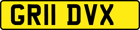 GR11DVX