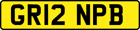 GR12NPB