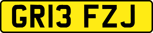 GR13FZJ