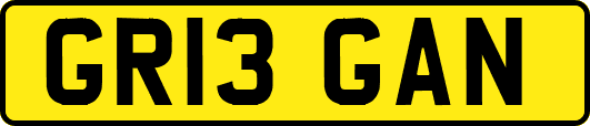 GR13GAN