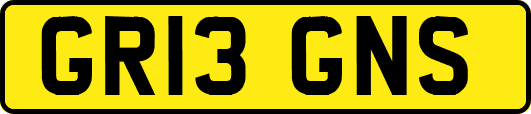 GR13GNS
