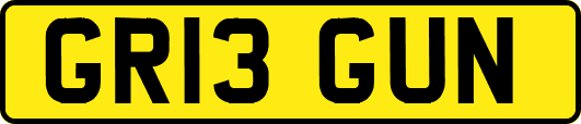 GR13GUN
