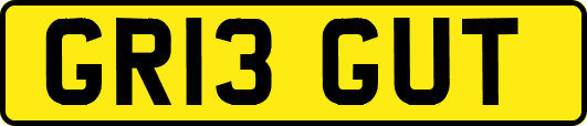 GR13GUT