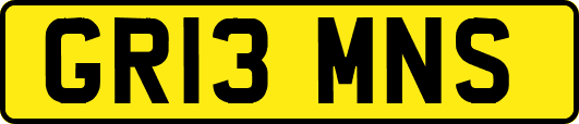 GR13MNS