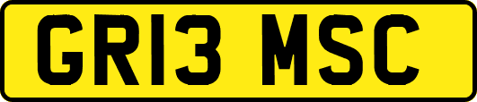 GR13MSC