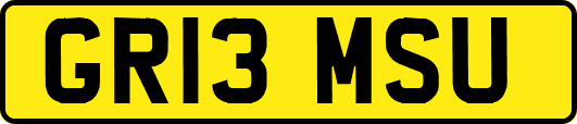 GR13MSU