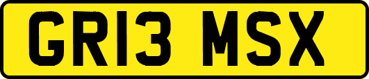 GR13MSX