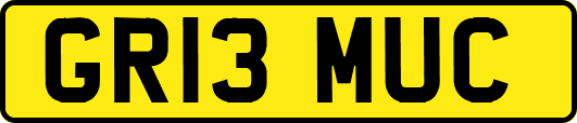 GR13MUC