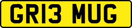 GR13MUG