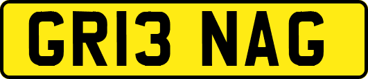GR13NAG