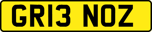 GR13NOZ