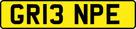 GR13NPE