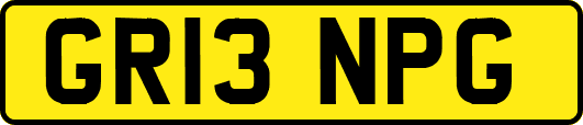 GR13NPG