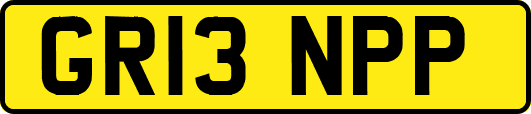 GR13NPP