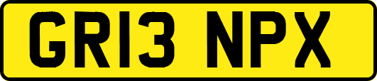 GR13NPX