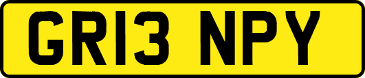 GR13NPY