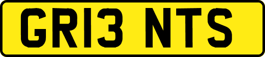 GR13NTS