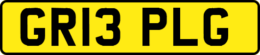 GR13PLG