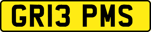 GR13PMS