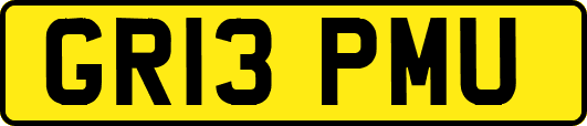 GR13PMU