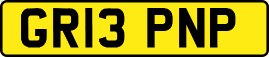 GR13PNP