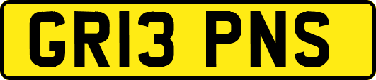 GR13PNS