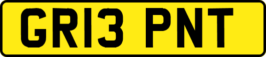 GR13PNT