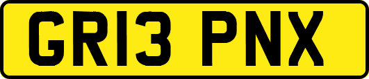 GR13PNX