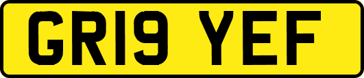 GR19YEF