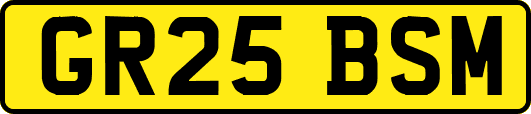 GR25BSM