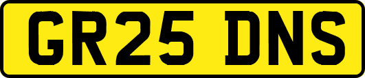 GR25DNS