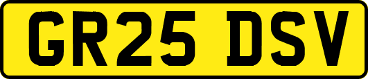 GR25DSV