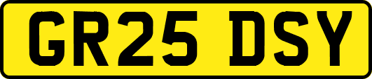 GR25DSY