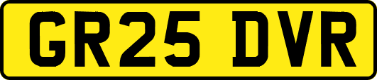 GR25DVR