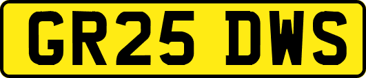 GR25DWS