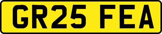 GR25FEA