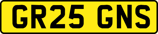 GR25GNS