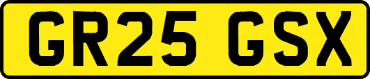 GR25GSX