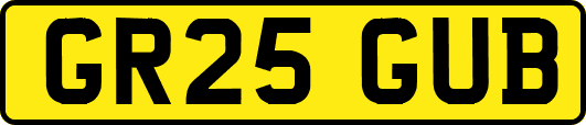 GR25GUB