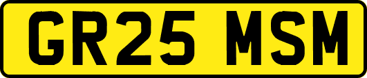 GR25MSM