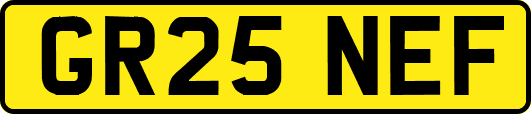 GR25NEF