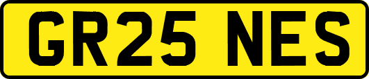 GR25NES