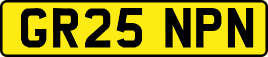 GR25NPN