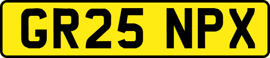 GR25NPX