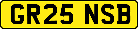 GR25NSB
