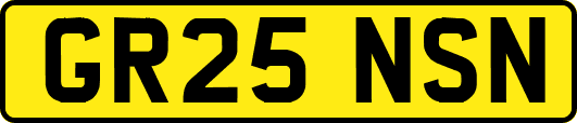 GR25NSN