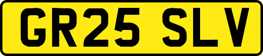 GR25SLV